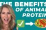 3 Main Benefits of Eating Animal Protein