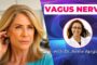 What the Vagus Nerve Actually Does And Why It Matters for Your Health