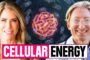 Dr. Scott Sherr on Mitochondria, Stress, and Midlife Fatigue